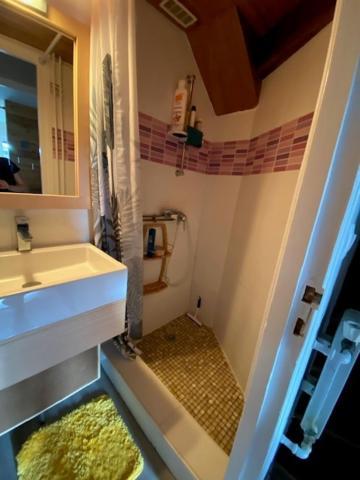 Appartement Duplex Avec Vue Sur Le Sancy Et Garage Couvert Murat-le-Quaire エクステリア 写真
