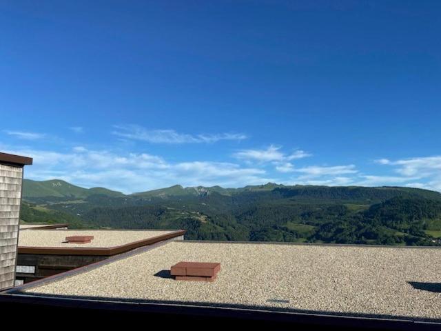 Appartement Duplex Avec Vue Sur Le Sancy Et Garage Couvert Murat-le-Quaire エクステリア 写真