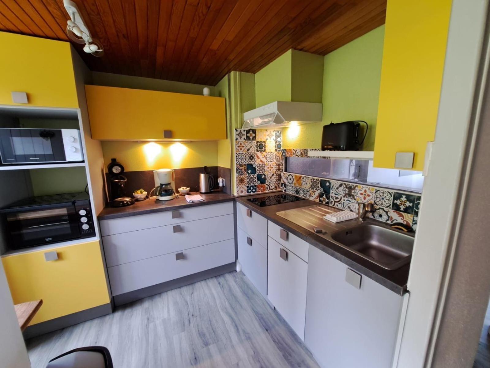 Appartement Duplex Avec Vue Sur Le Sancy Et Garage Couvert Murat-le-Quaire エクステリア 写真