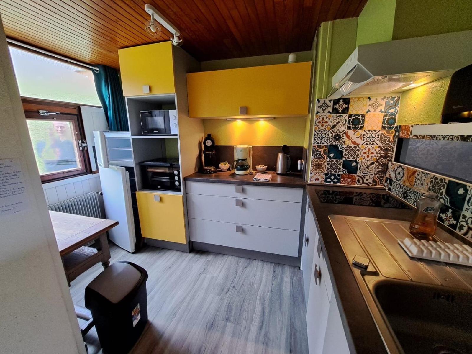 Appartement Duplex Avec Vue Sur Le Sancy Et Garage Couvert Murat-le-Quaire エクステリア 写真